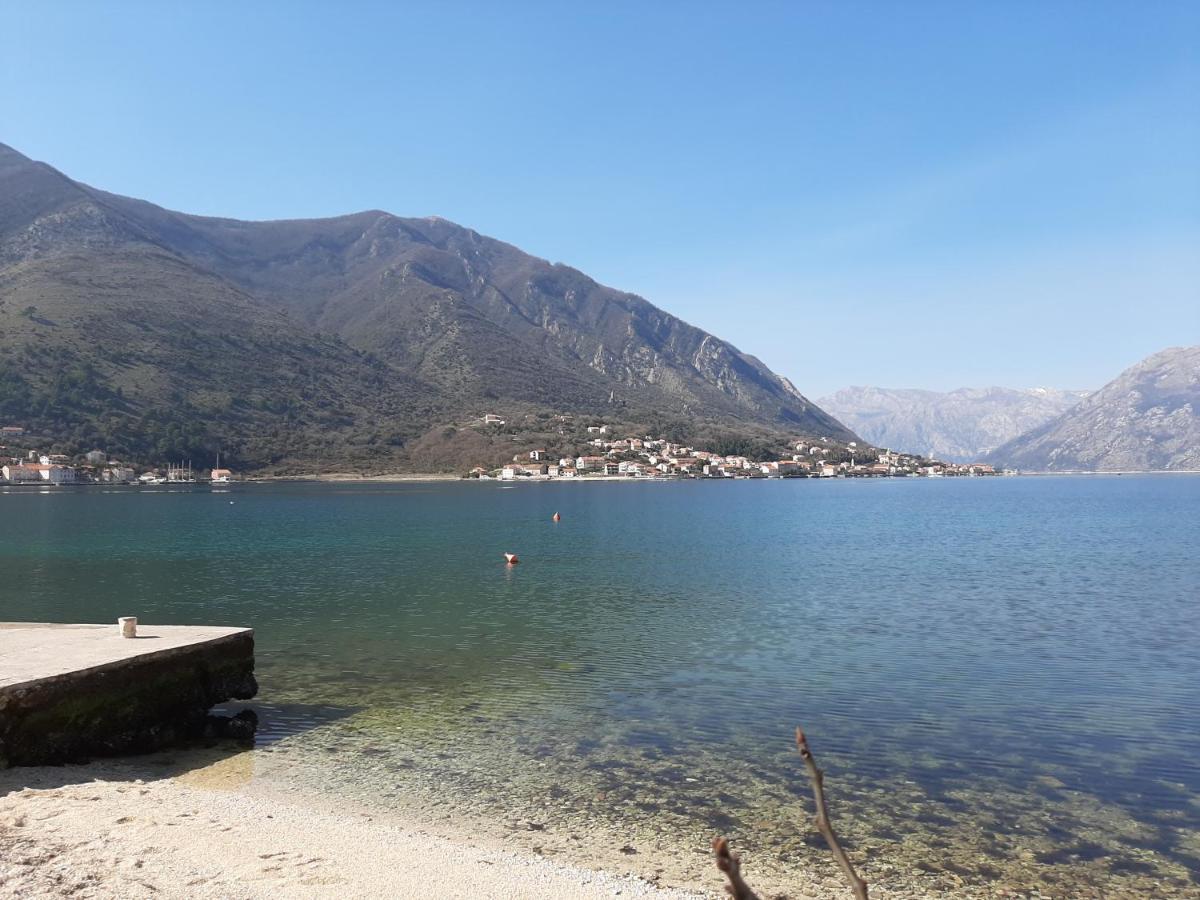 Apartments Tiha Noc Kotor Dış mekan fotoğraf