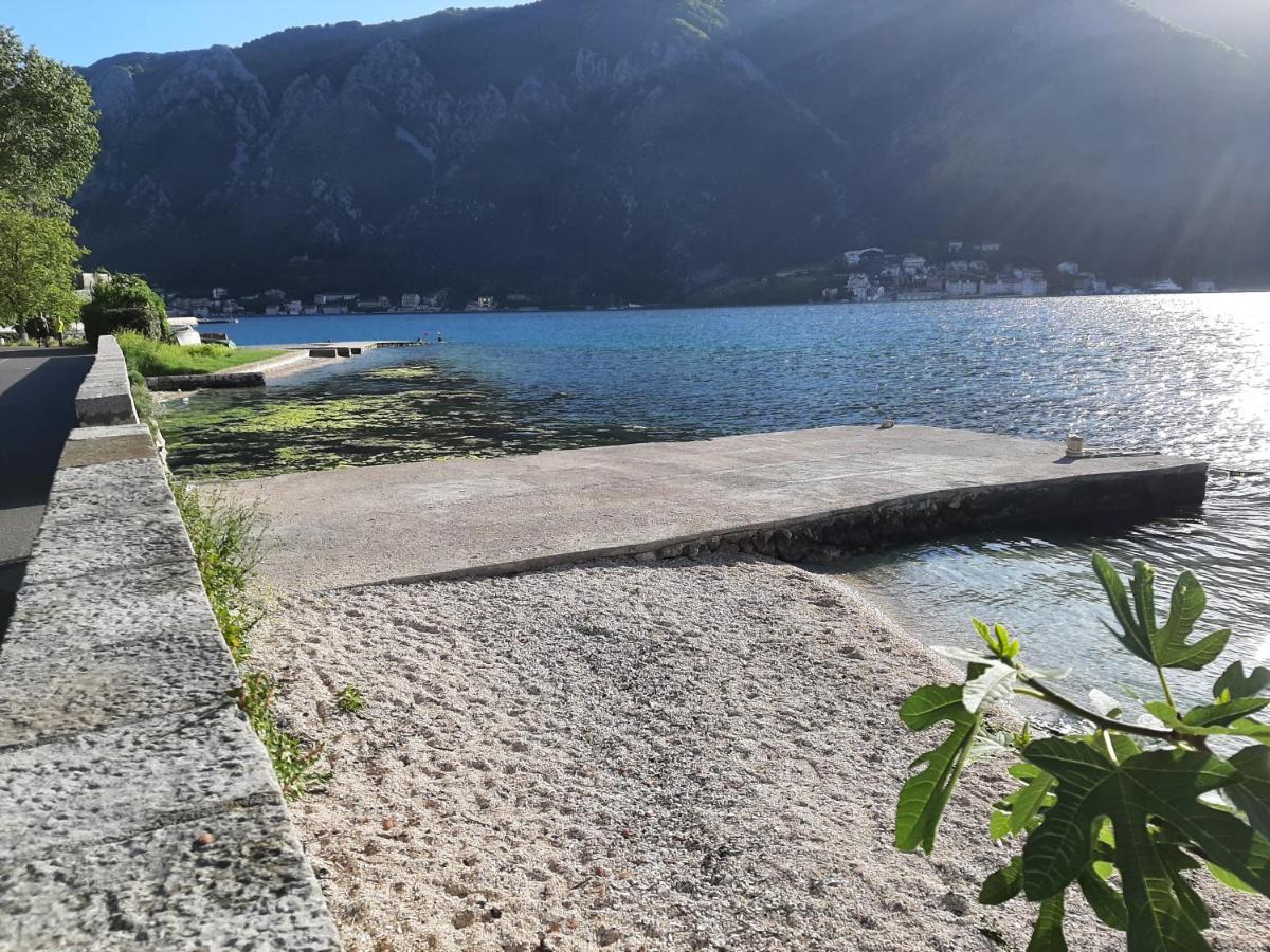 Apartments Tiha Noc Kotor Dış mekan fotoğraf